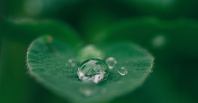 Your Sensitivity Is Intelligent Design