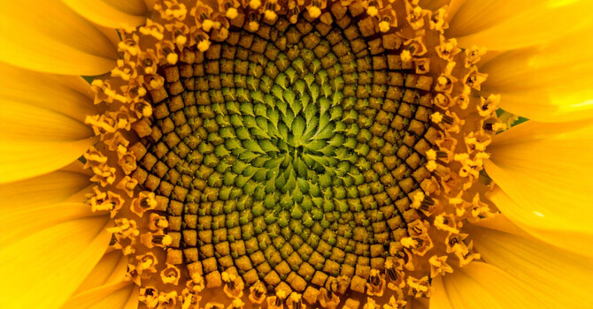 Your Sensitivity Is Intelligent Design